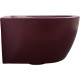 Чаша подвесного унитаза Allen Brau Fantasy 4.11004.BD бордо