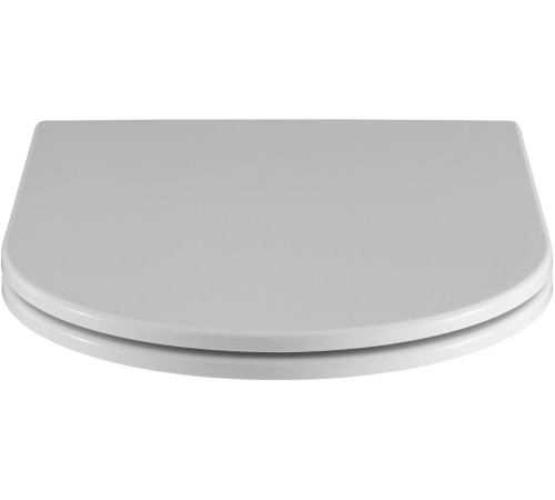 Чаша напольного унитаза Aquanet Ray-C