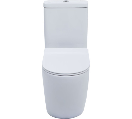 Чаша напольного унитаза Aquanet Rimless Cetus-C1 BL-102N-TPT