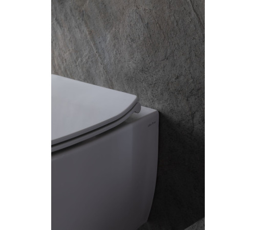 Чаша подвесного унитаза Allen Brau Fantasy 4.11HC1.20 белый глянец