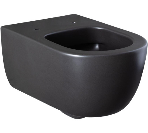 Чаша подвесного унитаза Allen Brau Priority 4.31001.31 черный матовый