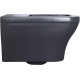 Чаша подвесного унитаза Allen Brau Infinity 4.21011.AN антрацит