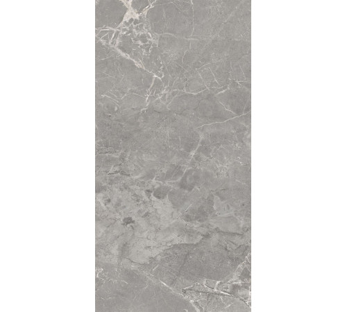 GT120608401MCR Керамогранит Magic серый карвинг матовый 60x120