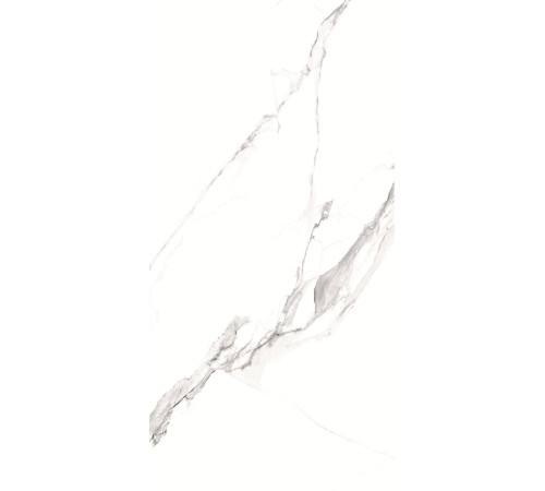 GT1206012003SPR Керамогранит Alfanzo белый лаппатированный 60x120