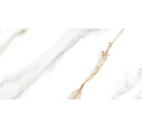 GT97VG Плитка настенная Capella белая глянцевая 25x50