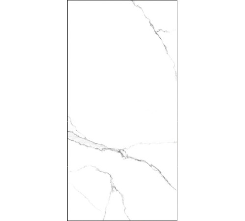 GT120600203MR Керамогранит Marmo белый матовый 60x120