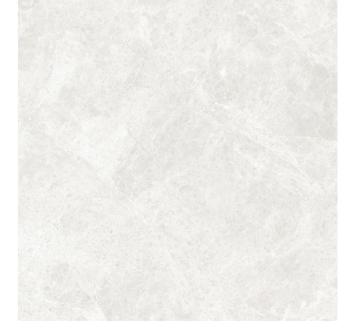 GT60604606PR Керамогранит Korinthos светло-серый полированный 60x60