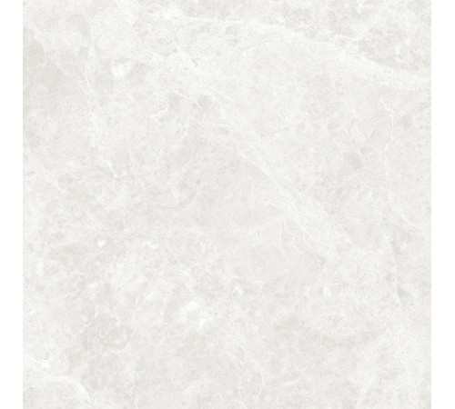 GT60604606PR Керамогранит Korinthos светло-серый полированный 60x60