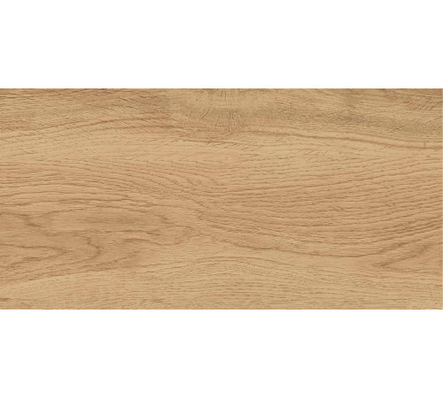 GT220VG Керамогранит Florida бежевый матовый 30x60