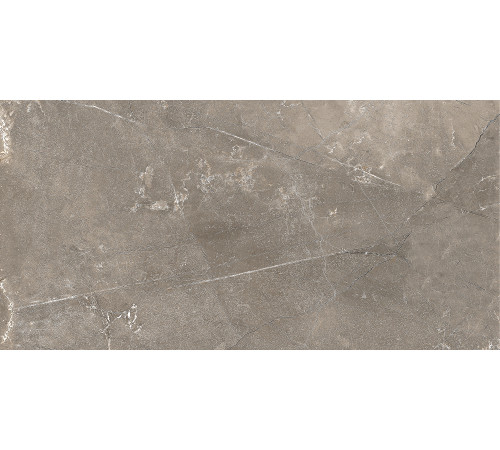 GT122VG Плитка настенная Siluet коричневая глянцевая 25x50