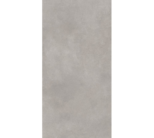 GT1206017701MR Керамогранит Cassini серый матовый 60x120