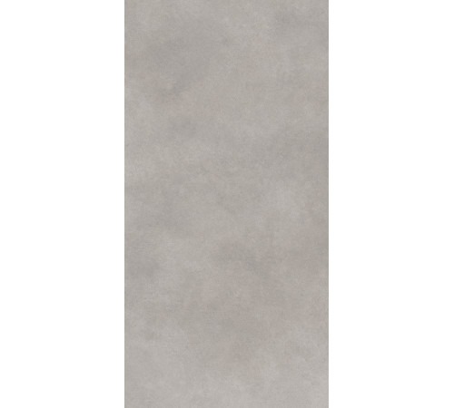 GT1206017701MR Керамогранит Cassini серый матовый 60x120