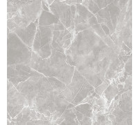 GT60601301MR-3 Керамогранит Solo серый матовый 60x60