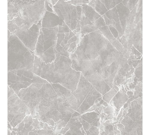 GT60601301MR-3 Керамогранит Solo серый матовый 60x60