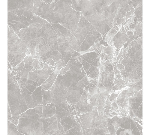 GT60601301MR-3 Керамогранит Solo серый матовый 60x60