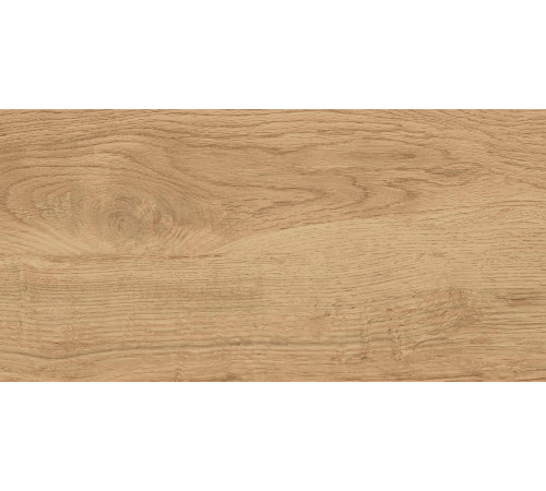 GT220VG Керамогранит Florida бежевый матовый 30x60