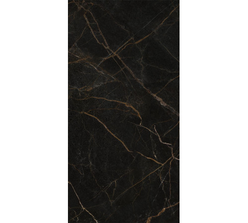 GT1206011405HPR Керамогранит Olimpia черный полированный 60x120