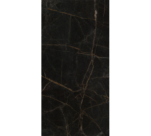 GT1206011405HPR Керамогранит Olimpia черный полированный 60x120