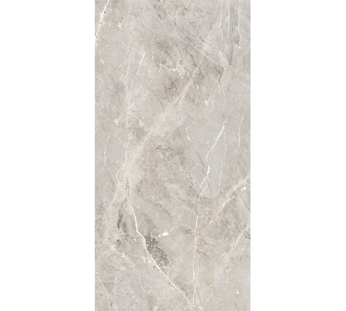 GT1206012101SPR Керамогранит Tulip серый лаппатированный 60x120