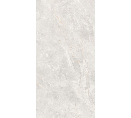 GT1206019606MDGR Керамогранит Anatolia светло-серый матовый 60x120