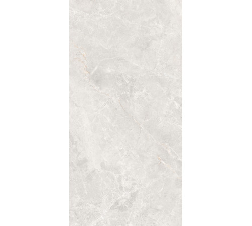 GT1206019606MDGR Керамогранит Anatolia светло-серый матовый 60x120