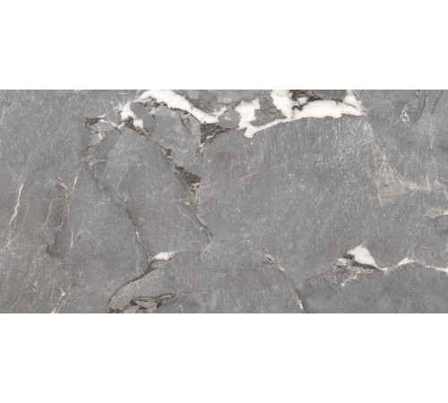PGT1206010201SGR Керамогранит Pegasus серый матовый 60x120