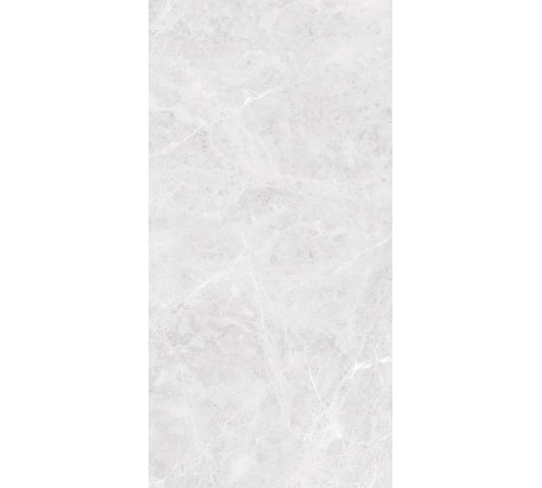 GT1206017596MR Керамогранит Solis светло-серый матовый 60x120