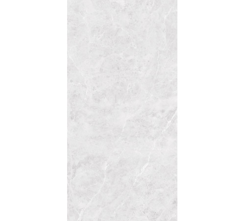 GT1206017596MR Керамогранит Solis светло-серый матовый 60x120