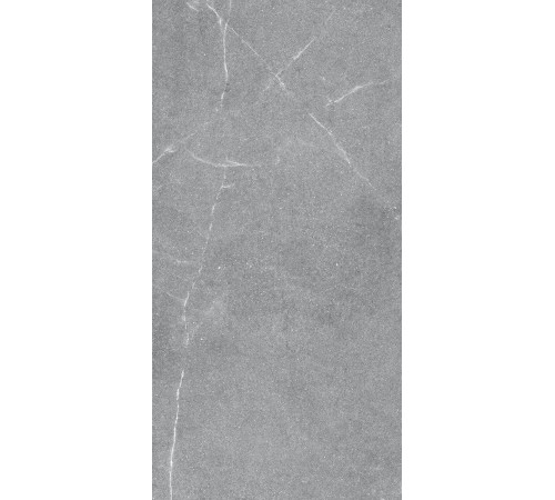 GT1206015401MR Керамогранит Geo серый матовый 60x120