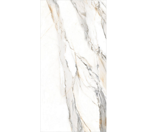 GT120604103MGR Керамогранит Statuario Elite белый граниль матовый 60x120