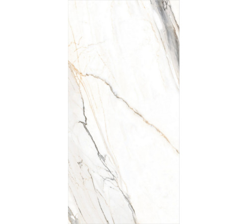 GT120604103MGR Керамогранит Statuario Elite белый граниль матовый 60x120