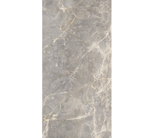 GT120603101MCR Керамогранит Sacramento серый карвинг матовый 60x120