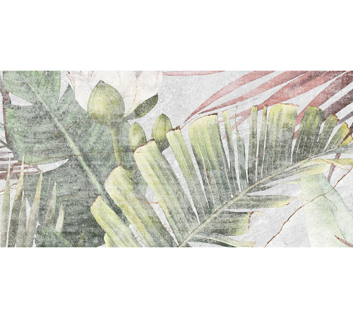 GT137VG Плитка настенная Aventura серая тропики матовая 25x50