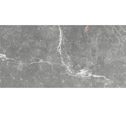 GT99VG Плитка настенная Capella серая глянцевая 25x50