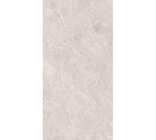 GT1206018106MCR Керамогранит Montera светло-серый матовый 60x120