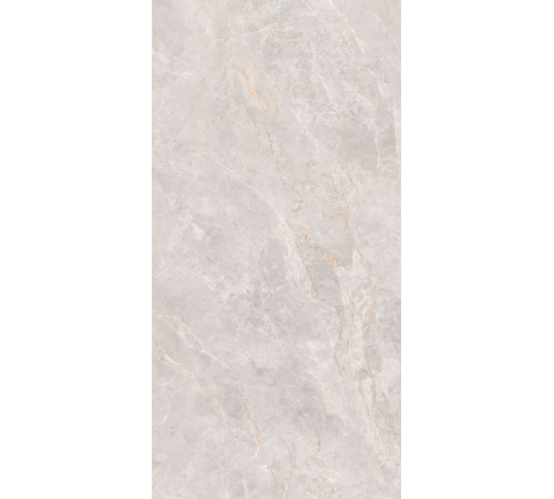 GT1206018106MCR Керамогранит Montera светло-серый матовый 60x120