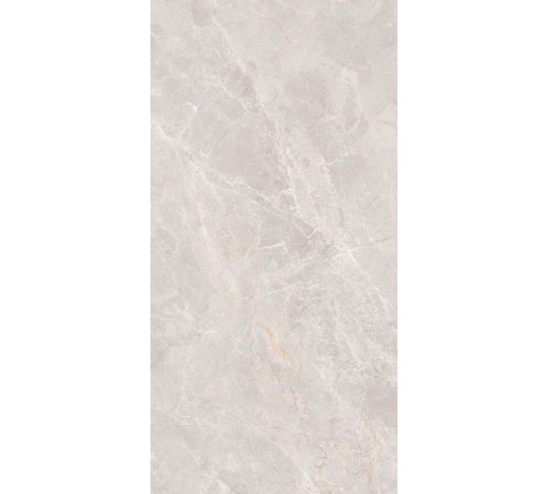 GT1206018106MCR Керамогранит Montera светло-серый матовый 60x120