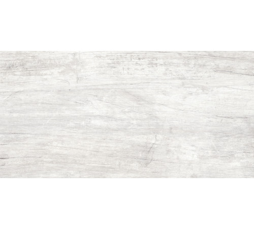 GT223VG Керамогранит Storm светло-серый матовый 30x60