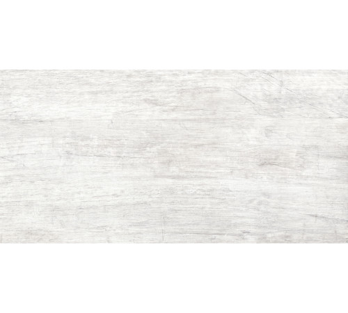 GT223VG Керамогранит Storm светло-серый матовый 30x60