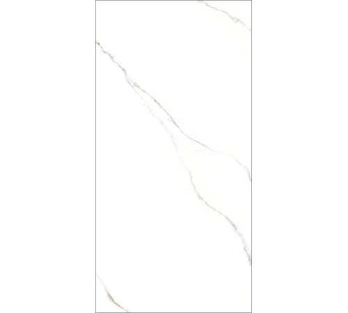 GT1206015103PR Керамогранит Corus белый полированный 60x120