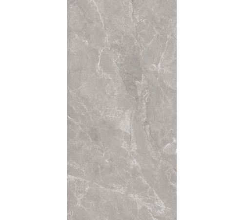 GT1206019601MDGR Керамогранит Anatolia серый матовый 60x120