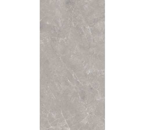 GT1206019601MDGR Керамогранит Anatolia серый матовый 60x120