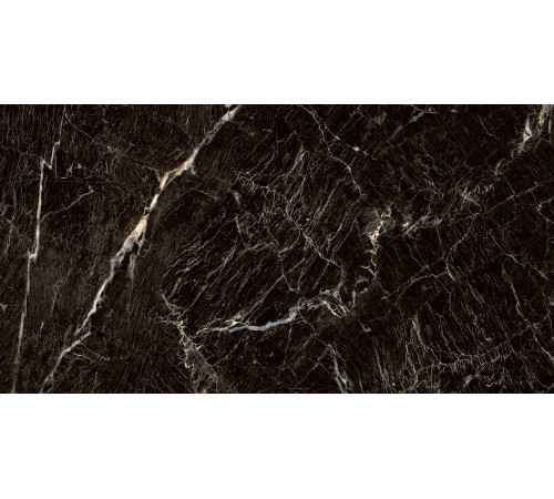 PGT1206010105MGR Керамогранит Zebrano черный матовый 60x120