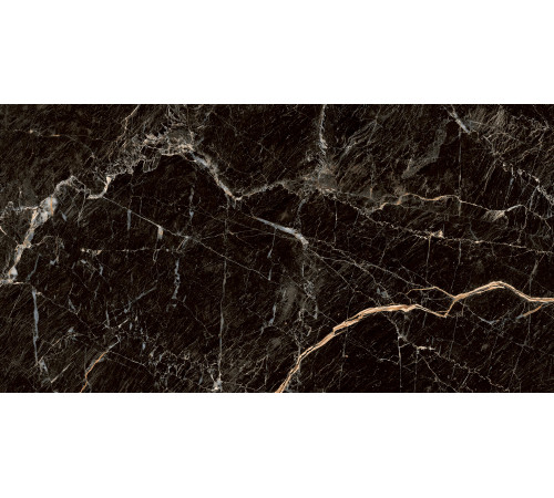 PGT1206010105MGR Керамогранит Zebrano черный матовый 60x120