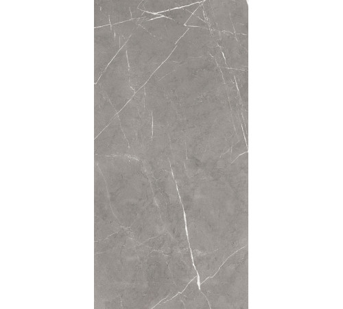 GT120603001MCR Керамогранит Encanto серый карвинг матовый 60x120