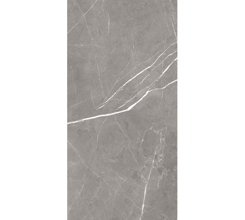 GT120603001MCR Керамогранит Encanto серый карвинг матовый 60x120