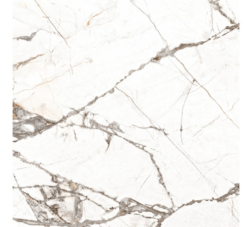 GT60604703PR Керамогранит Timeline белый полированный 60x60