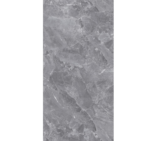 GT1206015701PSiR Керамогранит Silver серый полированный 60x120