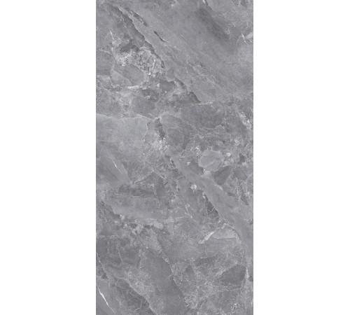 GT1206015701PSiR Керамогранит Silver серый полированный 60x120