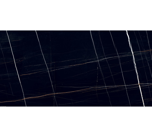 PGT120609705SGR Керамогранит Dorato черный матовый 60x120